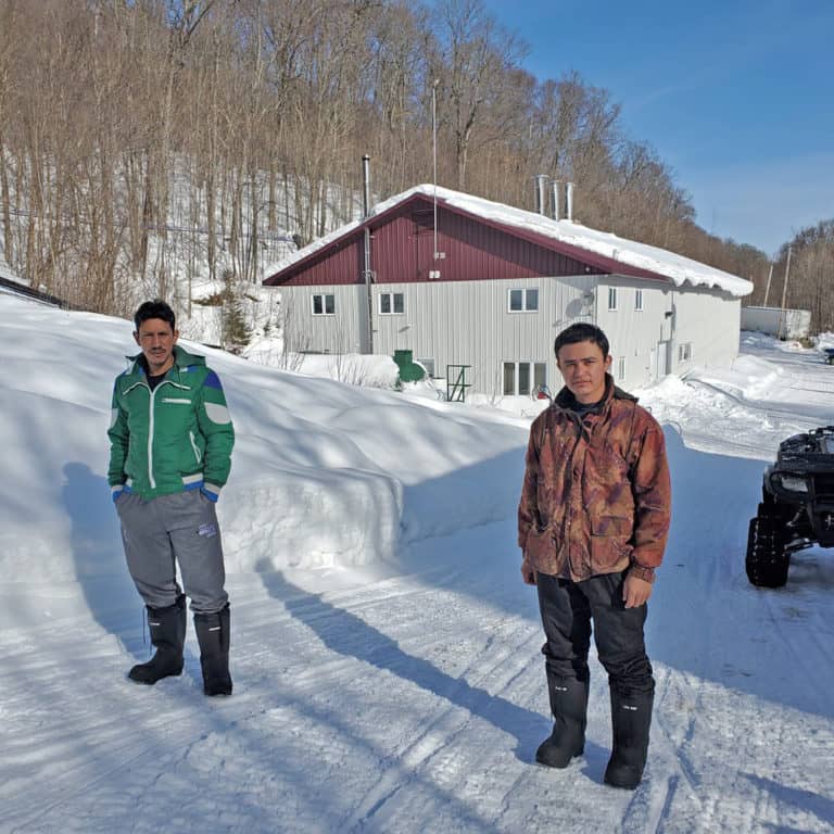 Des Guatémaltèques en renfort dans l’érablière