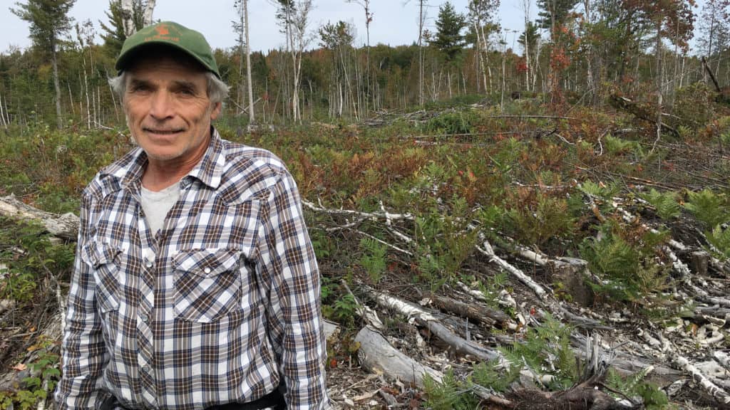 La Coalition Minerve s’inquiète des méthodes des forestières