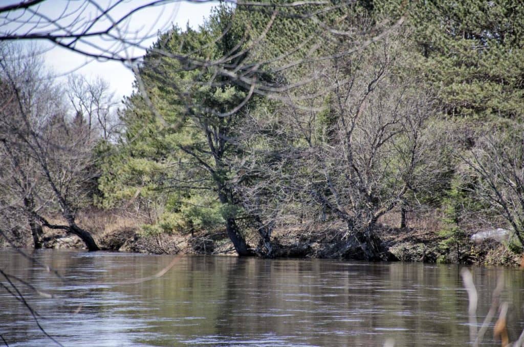 La rivière Rouge sous le radar de la Ville
