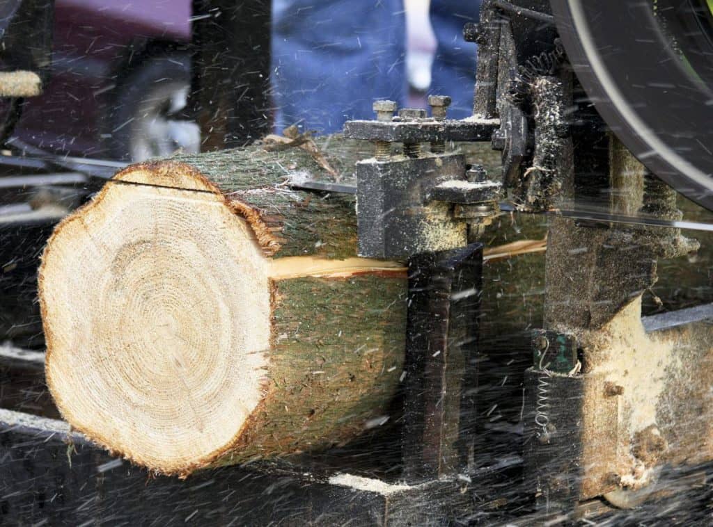Bois La Minerve ouvre ses portes et assure la relève