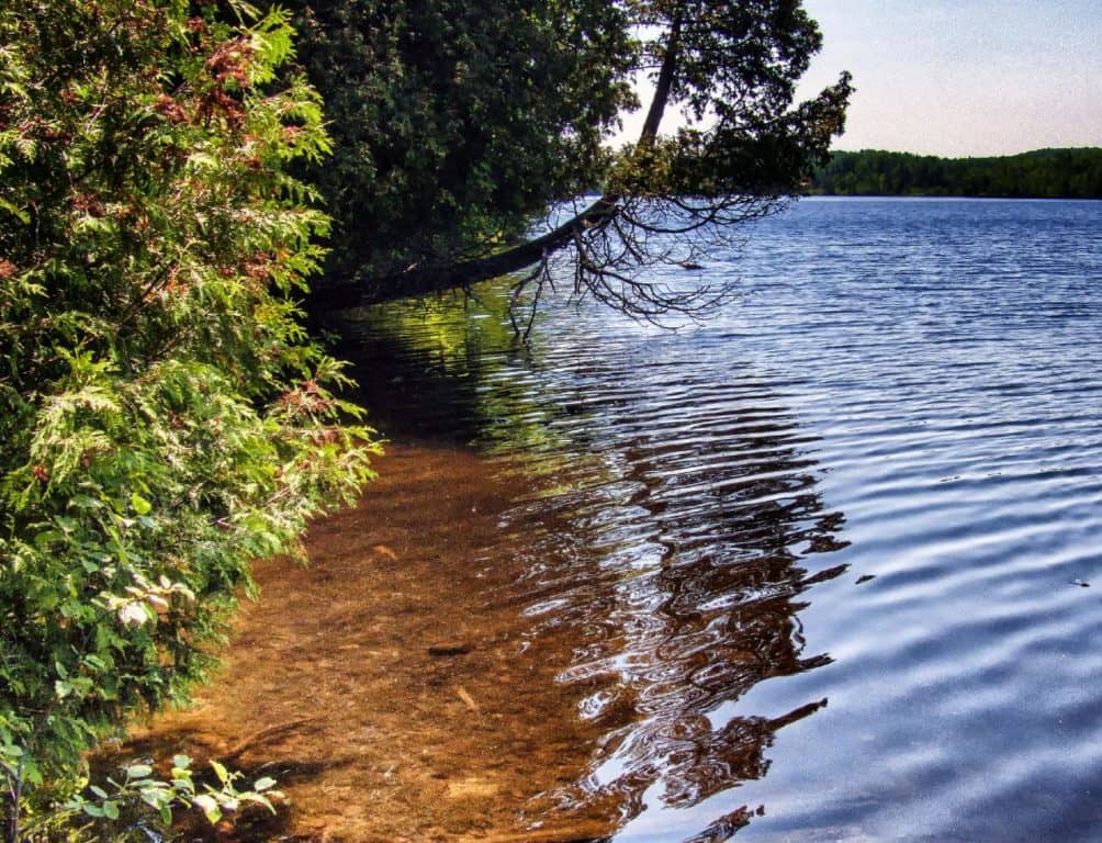 De l’aide financière pour des projets à caractère environnemental