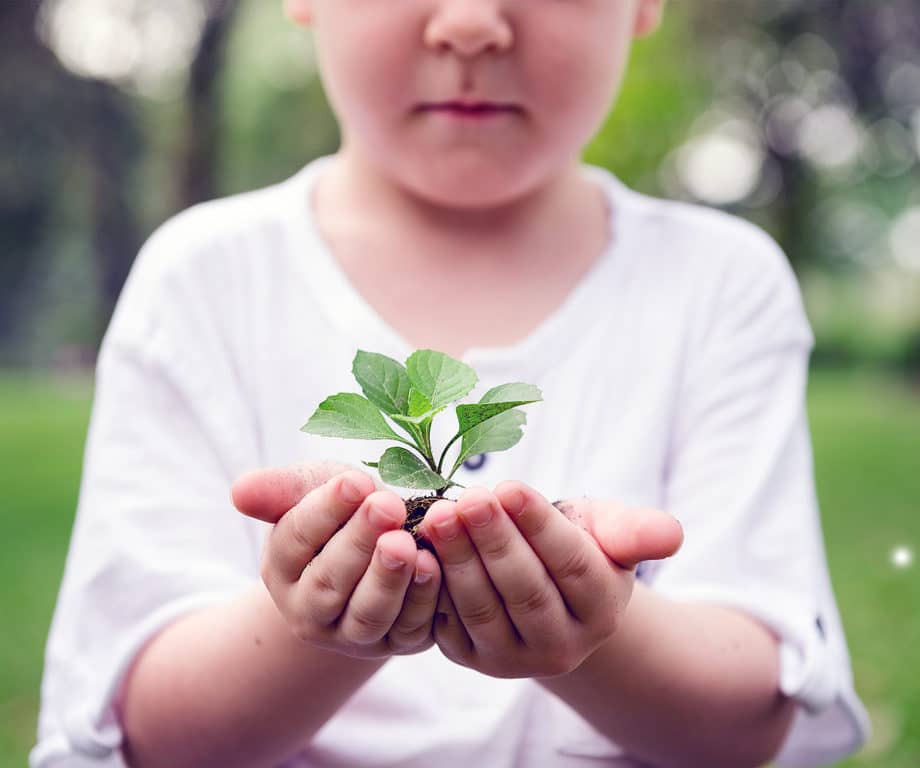 Une première Journée institutionnelle pour l’environnement