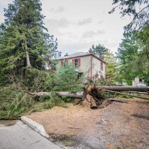 (Photo Tremblant média)