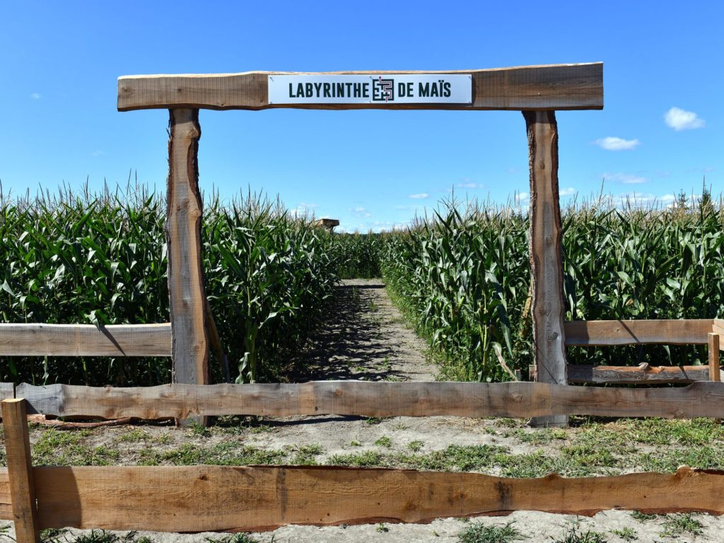 Les labyrinthes de maïs à visiter dans les Laurentides!