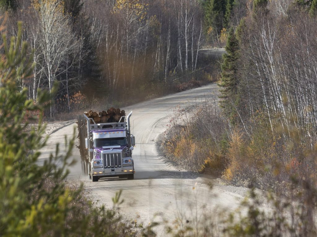 Crise du secteur forestier : des mesures d’aide annoncées dans les Hautes-Laurentides