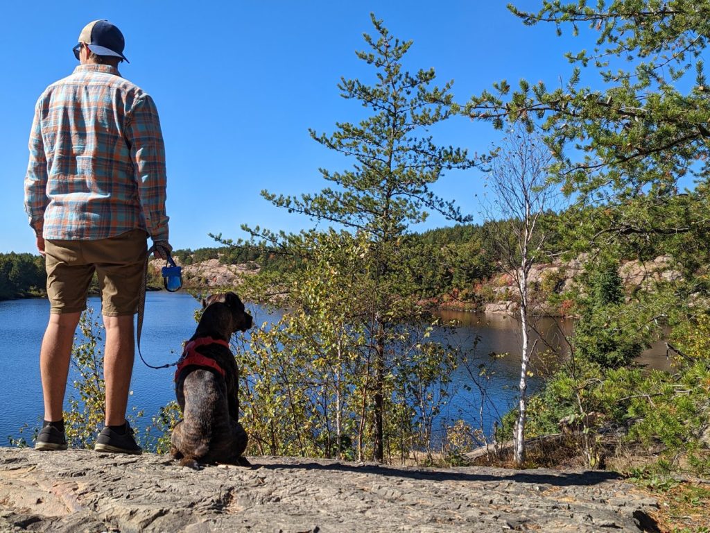 Les Préfets Des Laurentides Demandent à François Legault Dagir Pour Le Patrimoine Naturel L