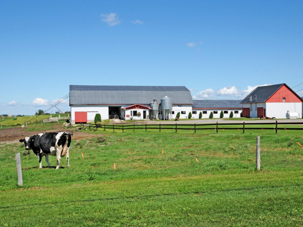 Agriculture : des données « alarmantes » pour l’Outaouais-Laurentides