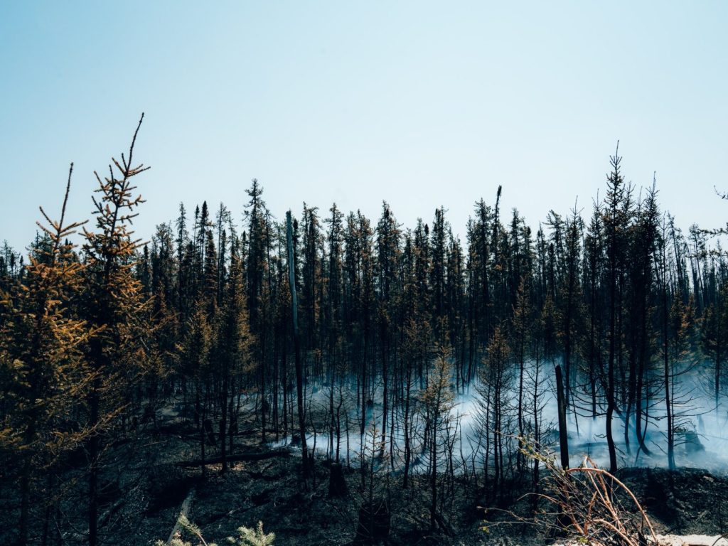 La MRC d’Antoine-Labelle veut répertorier les gens actuellement en forêt