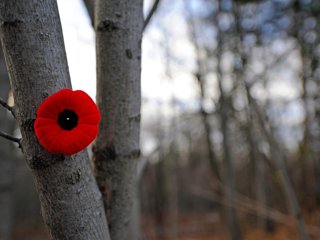 Le jour du Souvenir, une commémoration pour ne jamais oublier